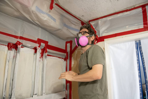 Best Air Quality Testing for Mold Spores  in Ione, CA