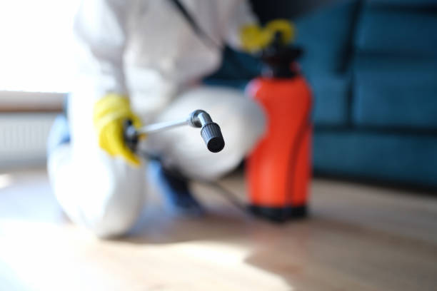 Best Mold Prevention Services  in Ione, CA